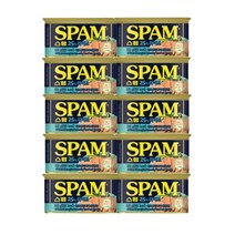 더맛난 CJ 스팸 마일드 200그램 10P, 200g, bb- mild 10개입