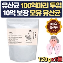 50대 유산균 파라바이오틱스 건강 분말 비타민 미네랄 락토바실러스 플란타럼 위대한V133 치커리 비타민C E A 아연 엽산 칼슘 유산균배양건조물 미네랄 치커리 식이섬유 김치 60대