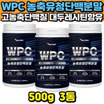 단백질 프로틴 WPC 보충제 유청단백질 BCAA 류신 이소류신 발린 아미노산 쉐이크 음료 마시는 근육 보강제 운동 헬스 전후 타먹는 농축유청단백분말 BCAA 노인 중장년 추천 식사대용, 500g