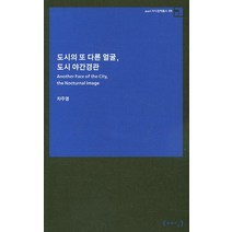도시의 또 다른 얼굴 도시 야간경관, AURI, 차주영