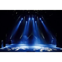 Laeacco레드 커튼 무대 조명 서커스 텐트 아기 생일 파티 사진 배경 포토존 스튜디오, Thin Cloth 300x200cm+NBK43738