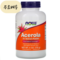 이롭가게 나우(NOW) 아세로라 추출물 분말 170g, 1개