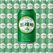롯데칠성 트레비 라임 355ml 24캔 탄산수 탄산음료 300ml 500ml 외 5종, 10.트레비 (라임) 355ml x 24