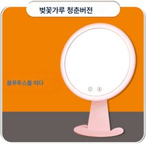 DFMEI 라이트 뷰티 미러 스마트 블루투스 스피커 일침실 LED 보광 미러 램프 스탠드 메이크업, 핑크/66