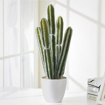 선인장 조화 화분, 선인장 조화 화분 귀면각