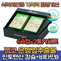 (싹쓰리맘)식약처인증 은행잎추출물 징코/GINKGO 진코 손 발 다리/은행잎 효능/판토텐산 칼슘 비타민B5/플라보놀배당체/나이아신/18종 아미노산/혈행개선 도움 건강기능식품, 징코메모리플러스500mgx60정x2통 1세트