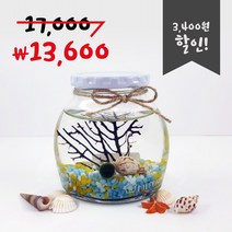 미니가든 틴캡 어항 산호 마리모키우기 DIY 키트, 색돌3.노랑