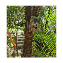 포획틀 멧돼지 덫 유해동물 고라니 반자동 구조망, H2 기본형+충전식 배터리