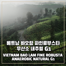 (커피생두) 109 베트남 바오람 파인로부스타 무산소 내추럴 G1 500g