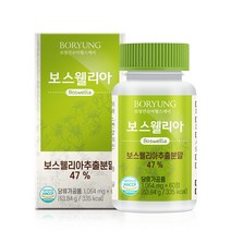보령 보스웰리아 1 064mg x 60정, 단품, 단품