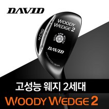 데이비드 2세대 우디웨지 고성능 백스핀 48도 50도 52도 56도 58도 60도 어프로치 피칭 샌드 갭 로브 웨지 + 자석티, 스틸(다골)