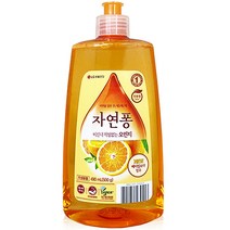 자연퐁 비린내 걱정없는 오렌지 주방세제, 500g, 10개