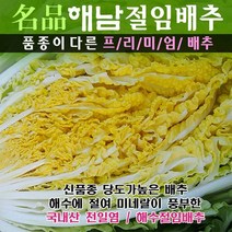 (산지직송) 명품해남절임배추 20kg (최고비싼품종 30년배추농사), 01월11일(수)도착