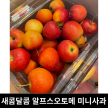 [국내산/국산] 알프스오토메 미니사과 상품 특품 2kg 데코용 케이크용 꼬마사과 한입사과 루비사과 알프스 오토메 루비에스미니사과 미니사과 알프스오토메, 상품2kg