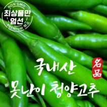 국산 청양고추 못난이 특 매운청양고추 1kg 5kg, 1개