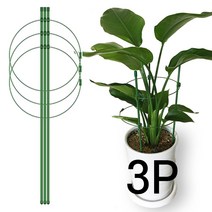 파파가든 식물지지대 5종 토마토지주대 오이 넝쿨 화분 화초 지지대, 높이 45cm (3P)