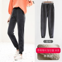 여성용 플러스 양털 캐주얼 스포츠 바지 가을과 겨울 양면 양털 두꺼운 따뜻한 느슨한 바지