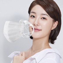 Bs2 이너가드 마스크지지대 국산 은나노살균 습기제거 _ 23011298EA, 본상품선택, 본상품선택