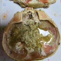 자숙 대게 스노우크랩 몸통 1kg 3-4미 내외, 없음