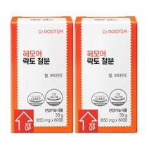 닥터루템 헤모어 락토 철분, 60정, 2개