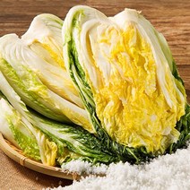 예닮골 해남 절임배추 20kg 정직한절임배추 생산자직송 김장 김치, 02월17일 발송