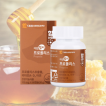 대웅생명과학 프로폴리스 500mg 60캡슐 플라보노이드 비타민 아연 구강항균 씹어먹는박하향