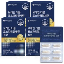 메이제이 뇌영양제 포스파티딜세린 식약청인증 두뇌건강 인지력 징코 기억력, 4개, 42캡슐