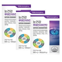 식약청 기능성 인증 뉴테인 루텐인 제아잔틴 알작은 광동 하루 한알 눈 건강 노화 노안 기능 식품 에좋은 유해산소 억제 비타민 제 E 씨 비군 셀렌 빌베리 남녀노소 3개월 90캡슐