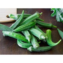 필리핀 생 오크라 Okra, 4kg