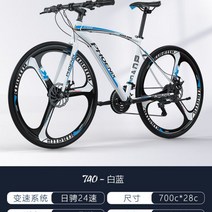 피닉스 로드 바이크 자전거 학생 출퇴근 입문용 30만원대 선물, 24단, R
