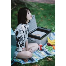 캠핑용 차량용 소형 냉장고 냉장 냉동 12v 24v, B 가정용/차량용 냉장고