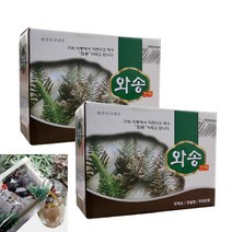 선물용 100% 국산 와송 액기스 와송즙 2박스 (100ml x 120포), 100ml x 120포