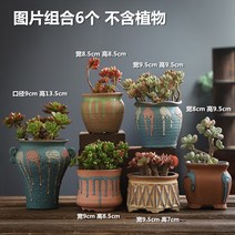 트리옵스 특이한 작은 화분 미니 사무실 세라믹 책상 인테리어 듀가르손 초미니 선인장 소형, 도자기, DL 버블제트 6개, 중간 정도