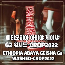 (커피생두) 285 에티오피아 아바야 게이샤 G2 워시드-CROP2022 1kg