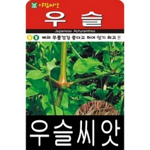 [워터트리몰] 우슬씨앗(5000립) 채소 꽃 종자 재배 씨앗 허브 (A)