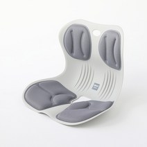 스마트홈 바른체어 인체공학 자세교정 의자 허리교정 그레이