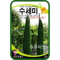 수세미 10립 / 수세미씨앗 수세미씨, 단품