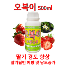 딸기 경도단단 당도상승 팁번증상예방 과수류 박과류 품질향상 수세회복 도장방지 저항력향상 오복이500ml!!, 500ml