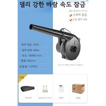 목공집진기 집진기 분진 목공 산업용 진공 청소기, 01.【강풍】불고빨기겸용(풍속잠금)