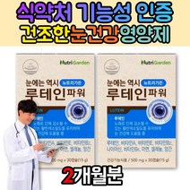 눈 이물감 침침 보호제 눈부심 야간 잦은 운전 눈 피로 건조 에좋은 영양제 루테인