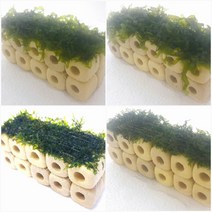 물미역프리미엄모스 초보음성수초키우기, 2번 9.5x3물미역모스활착 놀이터