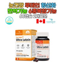 루테인 아이브라이트 눈건강 야간운전자 항산화 마리골드꽃 베타카로틴 망막 황반성분 눈건강