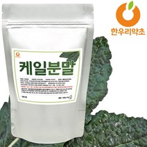 케일가루 300g 분말 국내산 먹는법, 케일가루300g