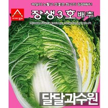 아시아종묘 장생3호 씨앗 종자김장배추 씨앗종자 배추씨앗 장생배추, 100000정