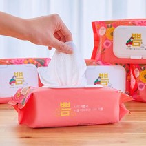 쁨 강아지 고양이 물티슈 80매 전성분 그린등급 애견위생용품, 단품