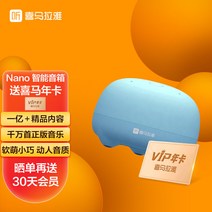 블루투스스피커 스마트 인공지능 AI스피커 무선 블루투스 오디오 VIP 히말라야 스피커 고가 홈, 민트 블루 나노 + 히말_패키지 A