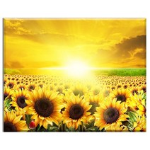 FASEN diy보석십자수 캔버스 형액자 세트 40cm x 50cm, AYW-165