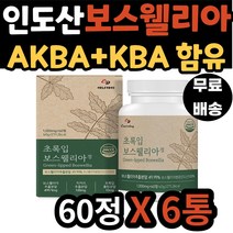 식약처 인증 인도산 보스웰리아 치커리 추출 분말 왼쪽 발가락 허리 어깨 손목 손마디 엘보 보스 엘리아 웰리스 벨리아 보스웰 40대 50대 60대 70대 남자 여자 남성 여성 추천
