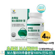 초록입 보수웰리아 보스웰리아 추출 분말 정 인도산 보스웰릭산 초록입홍합 보스엘리아 보수웰리아 60대 70대 여성 남성 관절 영양제 1000mg x 60정, 4박스