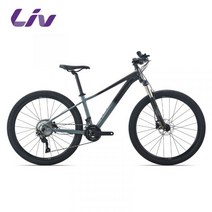 LIV 가변 속도 알루미늄 합금 유압 디스크 브레이크 스포츠 산악 자전거 사바파이크 자이언트 giant mtb 스타일 style, C22단, 27.5인치